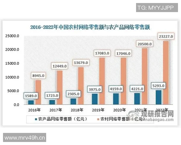 以网络建设为核心推动数字经济发展路径探索与实践